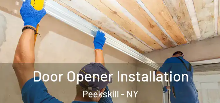  Door Opener Installation Peekskill - NY
