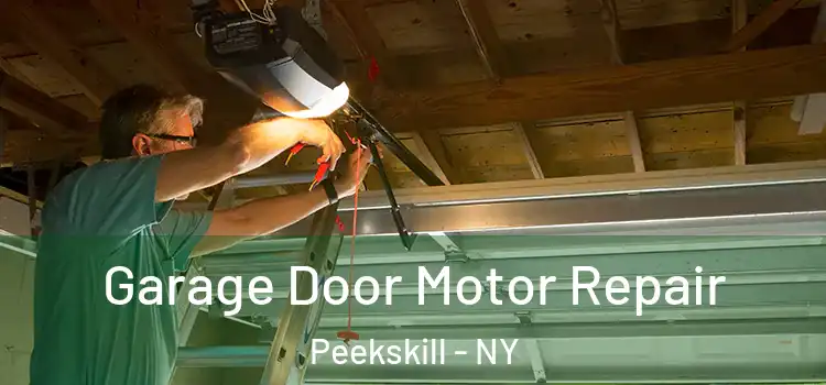 Garage Door Motor Repair Peekskill - NY