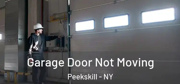  Garage Door Not Moving Peekskill - NY