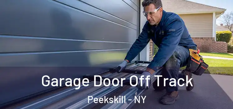 Garage Door Off Track Peekskill - NY