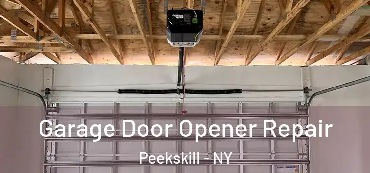  Garage Door Opener Repair Peekskill - NY