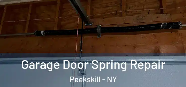  Garage Door Spring Repair Peekskill - NY