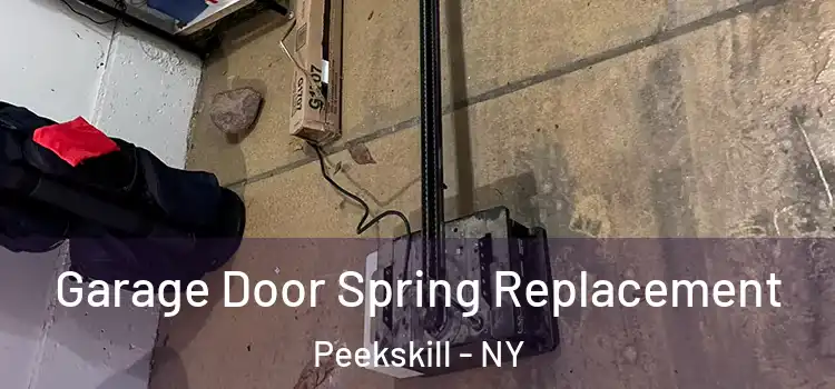  Garage Door Spring Replacement Peekskill - NY