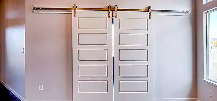Glass Barn Door with Installation Hardware Kit Peekskill