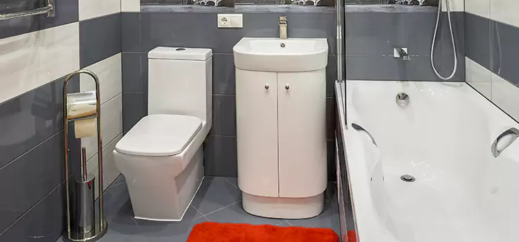Hansgrohe Shaving Mirror Peekskill