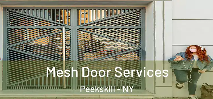 Mesh Door Services Peekskill - NY