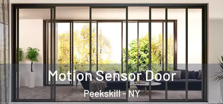  Motion Sensor Door Peekskill - NY